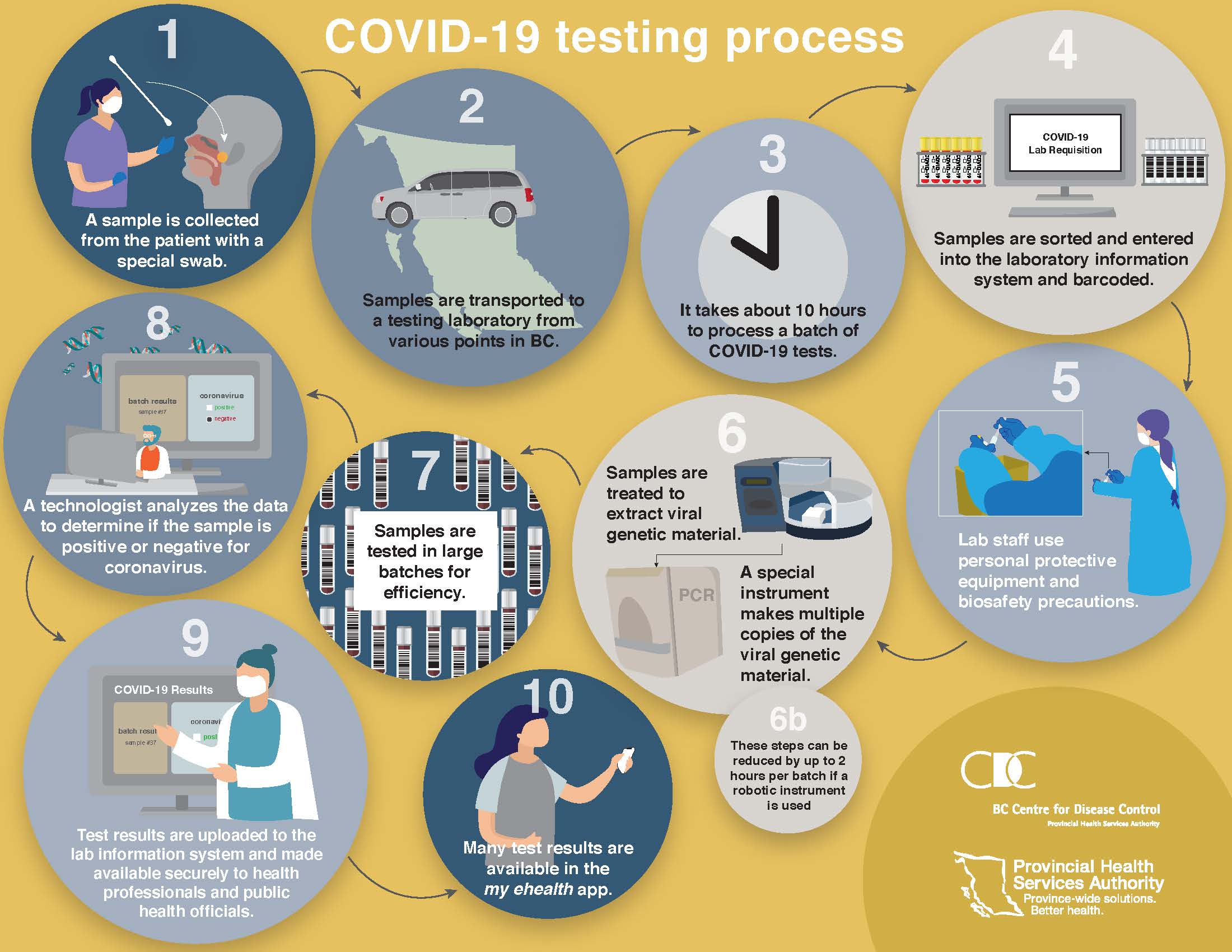 The story of B.C. s leading edge COVID 19 test development